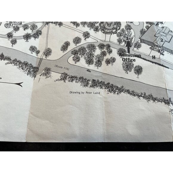 Vintage 1982 Amherst College Drawing By Peter Laird TMNT Fame 18" x 1 - Picture 2 of 9